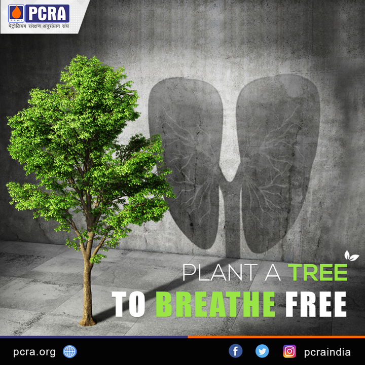 Petroleum Conservation Research Association (@pcraindia) on Twitter photo Our planet needs more trees. Trees improve air quality by filtering pollutants and harmful dust. So plant a tree to breathe free with clean air .
<a href="/pcraindia/">Petroleum Conservation Research Association</a>
<a href="/PetroleumMin/">Ministry of Petroleum and Natural Gas #MoPNG</a>
<a href="/HardeepSPuri/">Hardeep Singh Puri</a>
<a href="/Rameswar_Teli/">Rameswar Teli</a> Our planet needs more trees. Trees improve air quality by filtering pollutants and harmful dust. So plant a tree to breathe free with clean air .
<a href="/pcraindia/">Petroleum Conservation Research Association</a>
<a href="/PetroleumMin/">Ministry of Petroleum and Natural Gas #MoPNG</a>
<a href="/HardeepSPuri/">Hardeep Singh Puri</a>
<a href="/Rameswar_Teli/">Rameswar Teli</a>