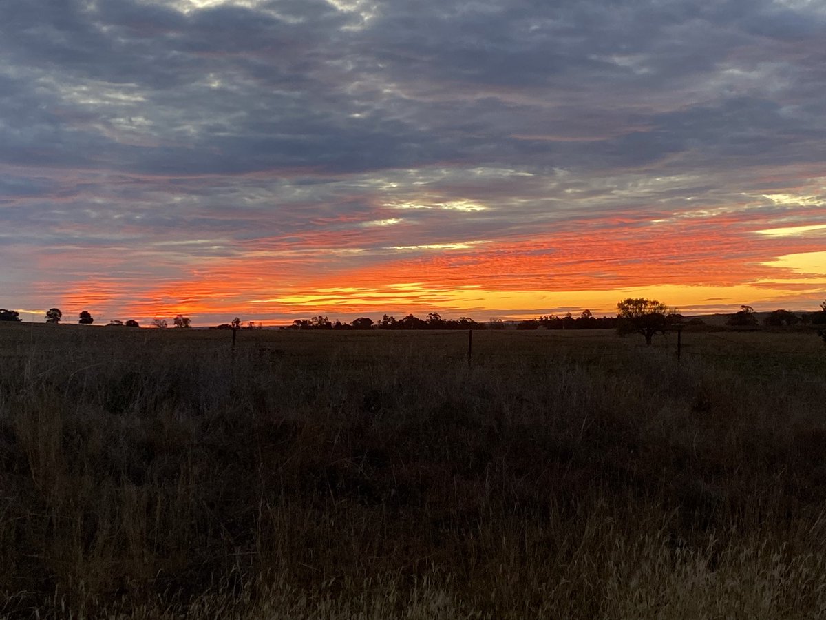 Cracking sky tonight.