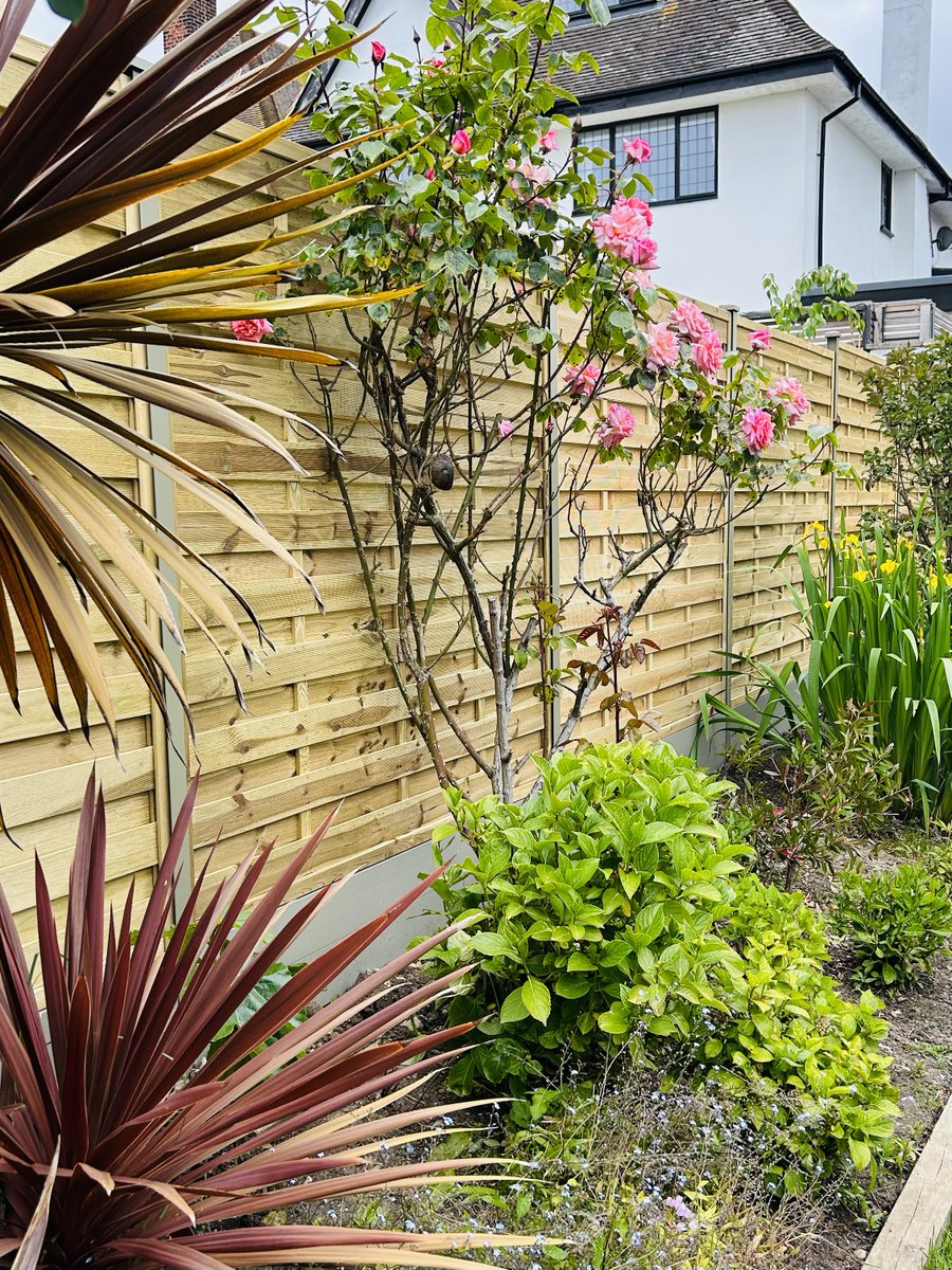 lemonfencing's tweet photo. Take a look at this installation completed with Square Horizontal panels and Olive Grey steel DuraPosts and composite gravel boards! #LemonFencing #DuraPost #Fencing #Install #Southend https://t.co/Wl7ogd8vcm