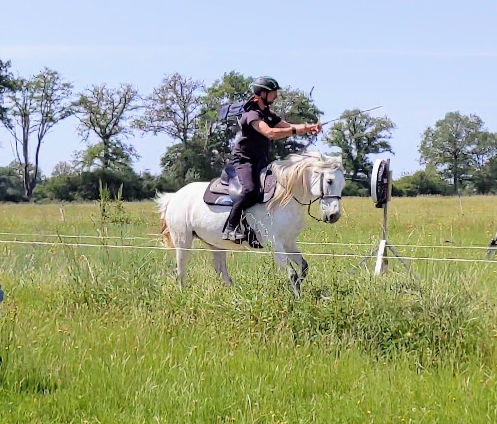 Having a great time in France at a training camp at Gauchoux #horsebackarchery #archery #trainingcamp #domainedegauchoux