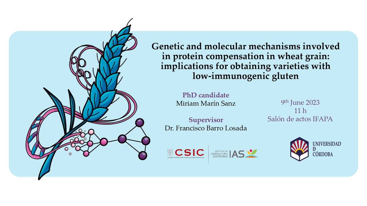 IAS_CSIC's tweet photo. 📢 Defensa #TesisDoctoral
👩‍🎓doctoranda: Miriam Marín Sanz @MiriamMarnSanz1
👉director de Tesis: #FranciscoBarro, @FBarrosLab del @IAS_CSIC
📆 9 junio 2023
⏰ 11:00 h
📍 Salón de Actos IFAPA-Alameda del Obispo, Avda. Menéndez Pidal, Córdoba
#cienciaparalaagricultura #CSIC https://t.co/2xP2jvkyfi
