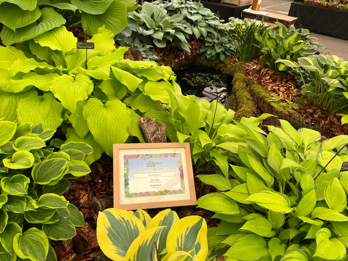 With Chelsea now finished, we turn our attention to BBC Gardeners World Live which starts in just two week, see you in Birmingham! Here's a picture of our display there last year. @BBCGWLive @GWandShows #Birmingham @thenec #BBCGWL