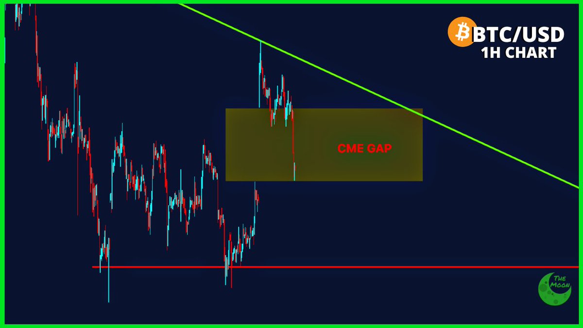 Carl Moon 🌙 tweet media