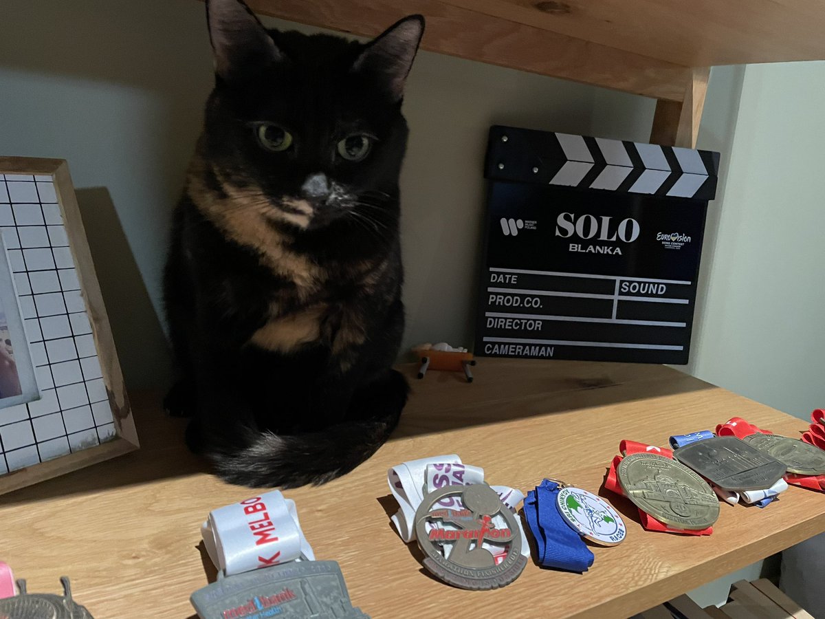 BEJBA! The cat is a fan! 

(And yes, Mike did put the Blanka clapperboard on the same shelf as my eight marathon medals and one of our first pics together 😑)