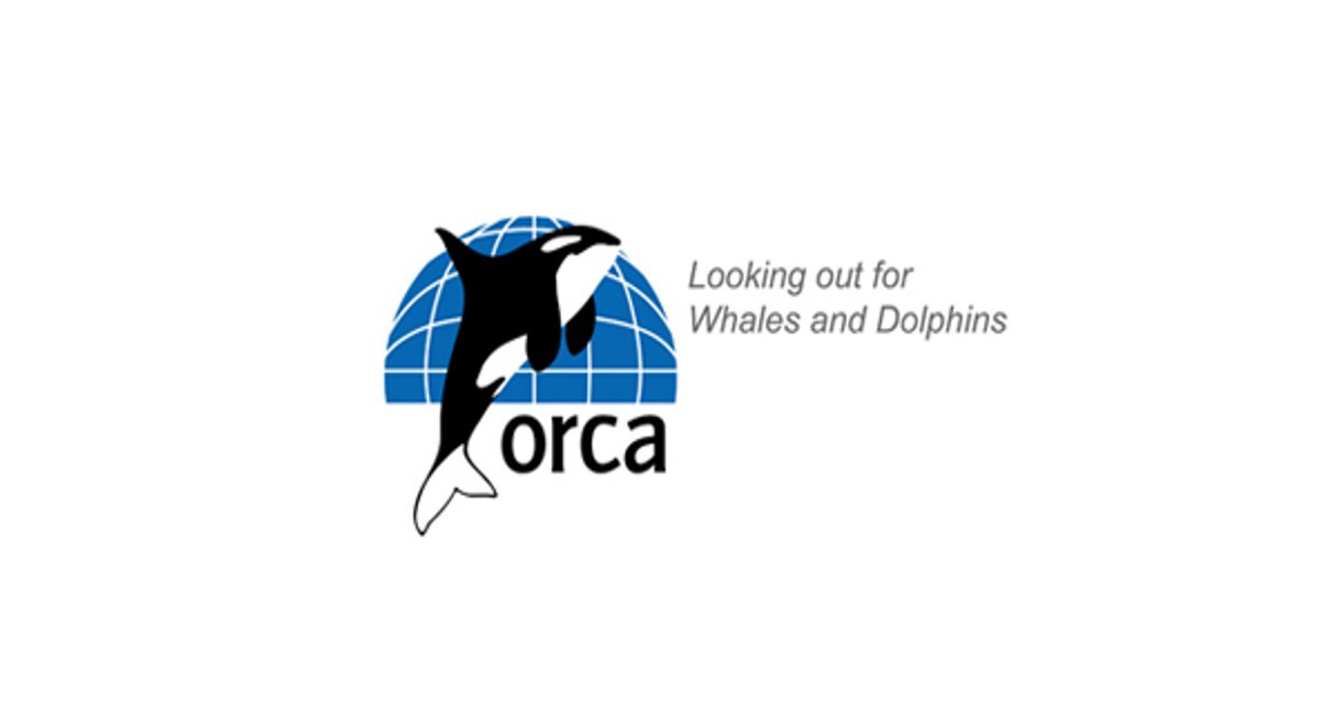 Conservation Monitoring Officer @ORCA_web #Portsmouth

Info/apply: ow.ly/MEcI50OqTgW

#HampshireJobs