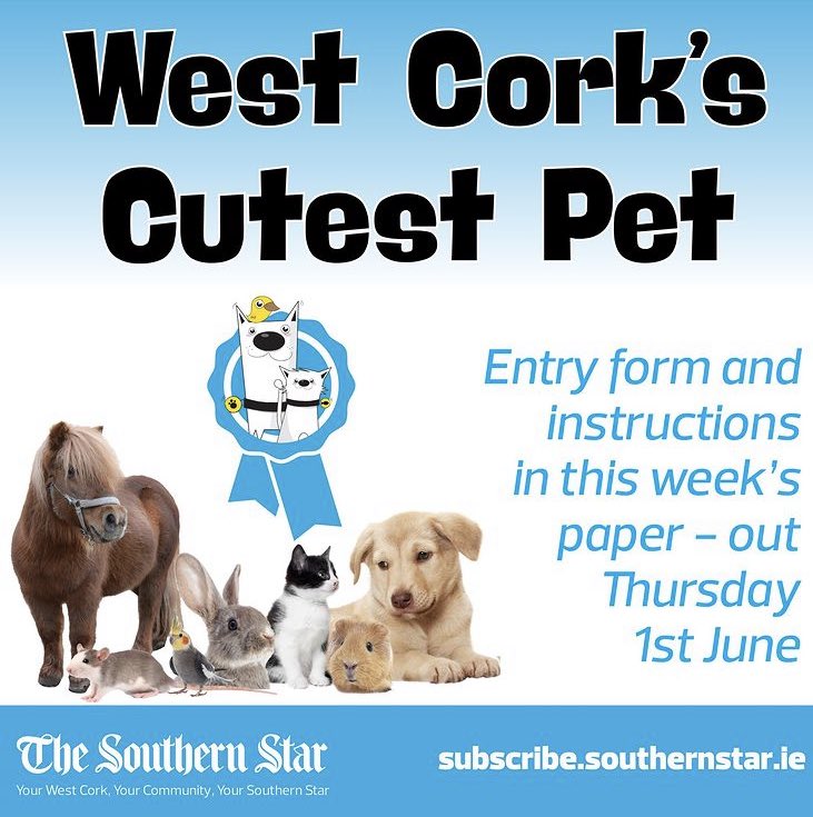 cronin_siobhan's tweet photo. My favourite competition launches this week β¦@SouthernStarIRLβ© #pets #bestpets #cutepets https://t.co/n9KVrPL8ku