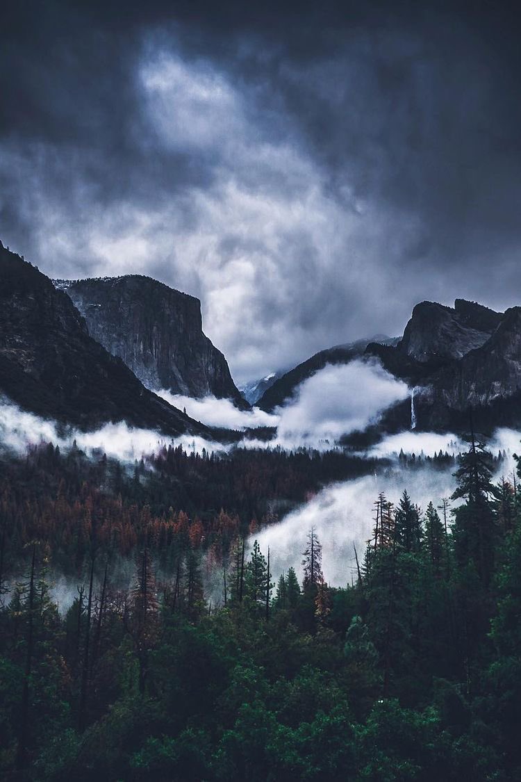 RT @Jakub_Senko_: Yosemite National Park ,,, #nature #places #photography #travel https://t.co/AAIeohFnNd