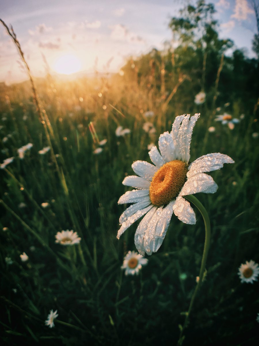 DoSomethingDir's tweet photo. Happy summer solstice to everyone in the Northern Hemisphere! https://t.co/TaLxE81jT0
