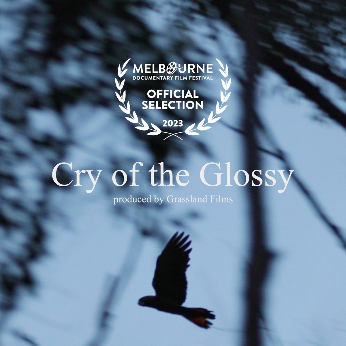 Grassland Films tweet media