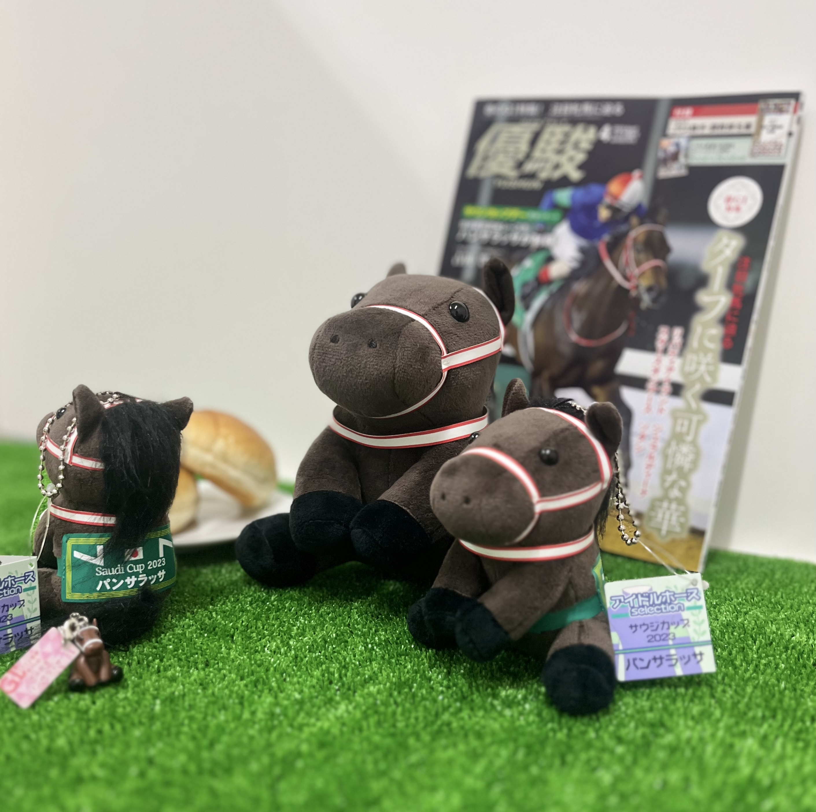 アイドルホースセレクション アイドルホース selection 第84回