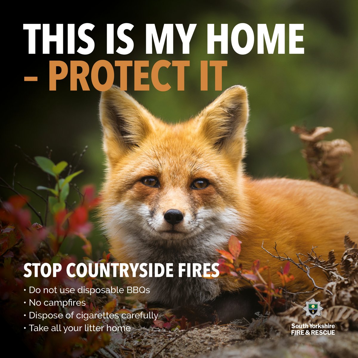 With the wildfire still ongoing at Lady Canning's Plantation in Sheffield.

Please please please be extra careful when going out in the countryside.

▪️Do not use disposable BBQ's
▪️No campfires
▪️Dispose of cigarettes carefully
▪️Take all your litter home