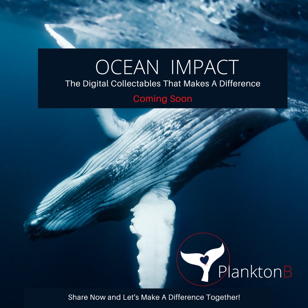 jeffmilan's tweet photo. The Digital Collectables, that educate in fun immersive ways on the plight of our oceans and how we can change it for a better tomorrow for all.
Accelerating Web3 innovation, through community empowerment, empathy &amp; compassion, the collectibles are a beacon of positivity. https://t.co/uwOj3kvK7w