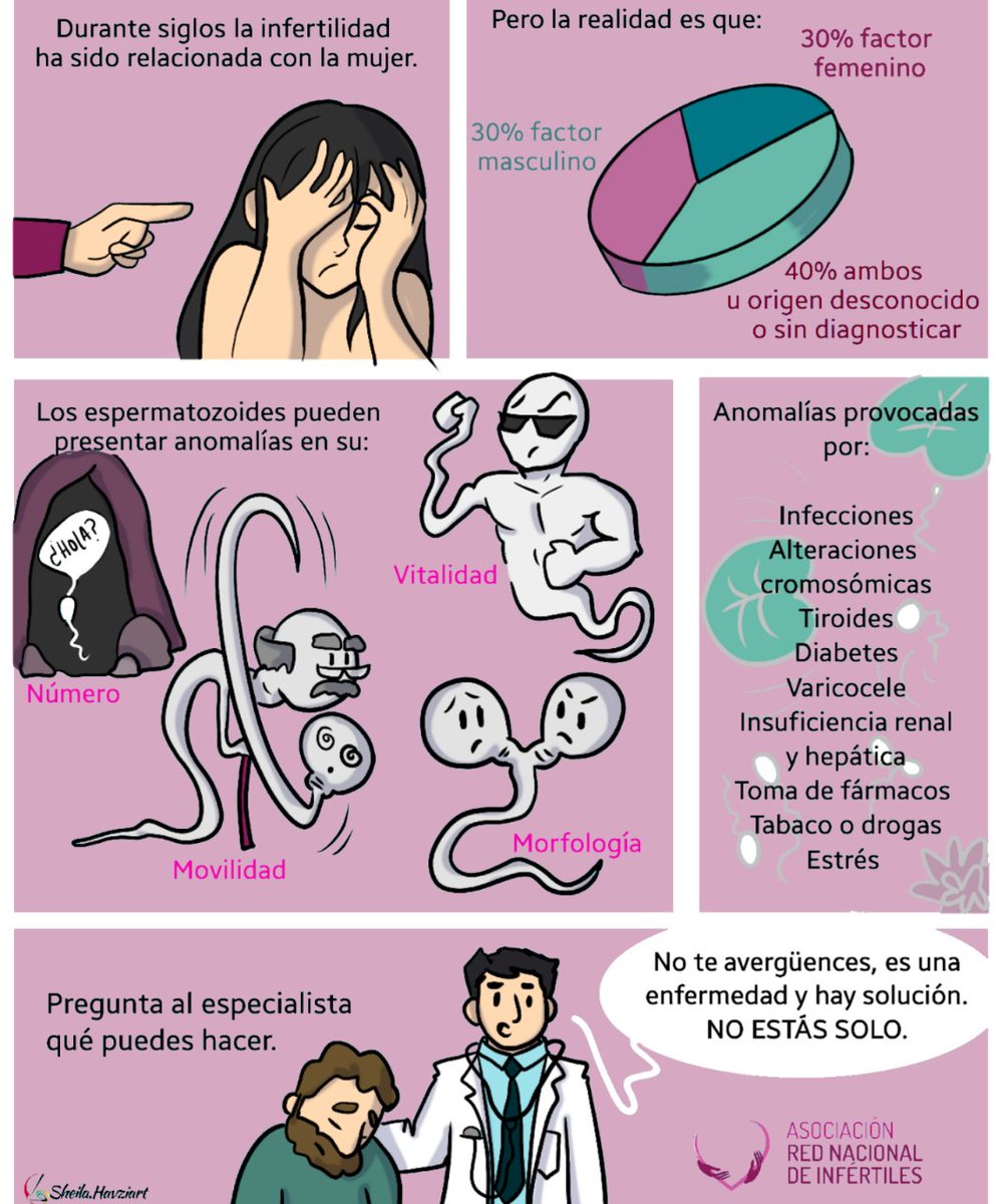 redinfertiles's tweet photo. Se habla siempre de la infertilidad femenina, pero, ¿sabías que el factor masculino es igual de importante?

Un 30% de las causas de infertilidad se deben a factor femenino y un 30% al masculino. Otro 30% es por ambos factores y el resto por causas desconocidas.

#infertilpandy https://t.co/YGypxWfjHz