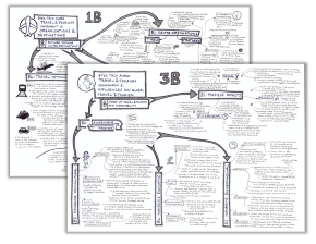 BTEC Tech Award T&amp;T: "All key points on one page" - and more feedback - mailchi.mp/zigzageducatio…