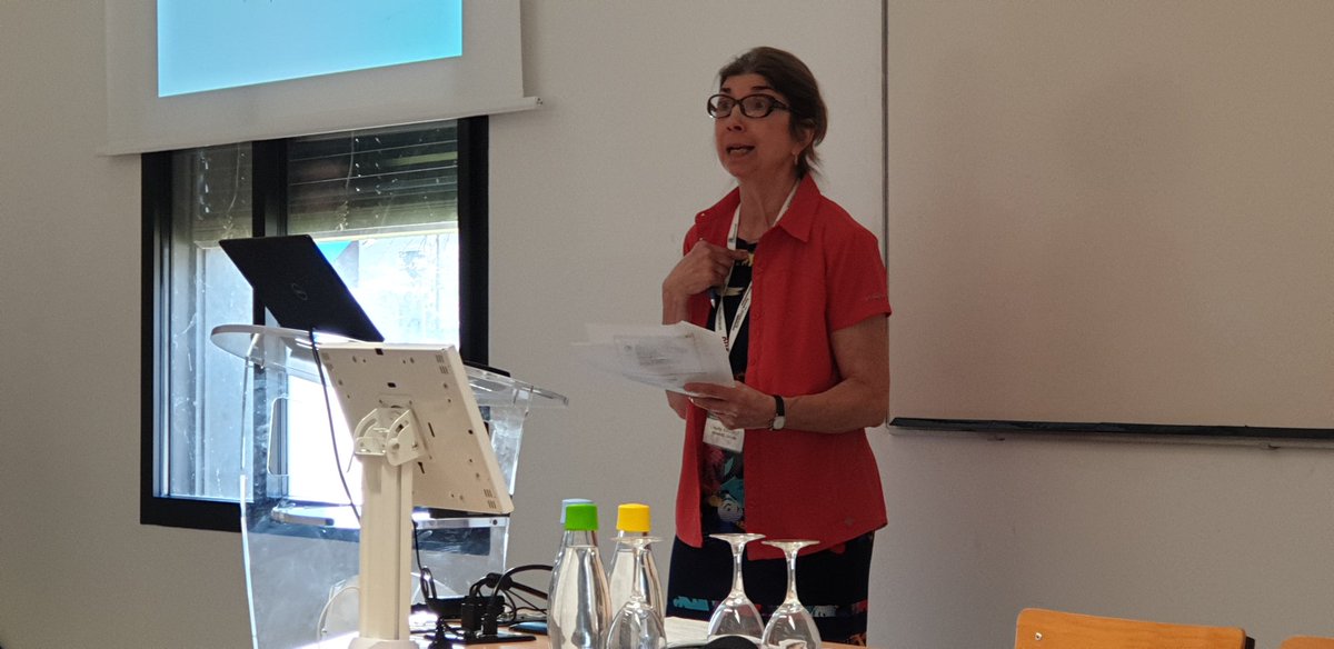 Seve_Michel's tweet photo. L'évaluation formative comme outil d'amélioration de la qualité dans une faculté de pharmacie - XXIe conférence CIDPHARMEF @univbordeaux - introduction par les Pr C Mailhot @UMontreal et JP Grégoire @universitelaval. Merci au support de @auf_org https://t.co/Oirvv1Jj3N