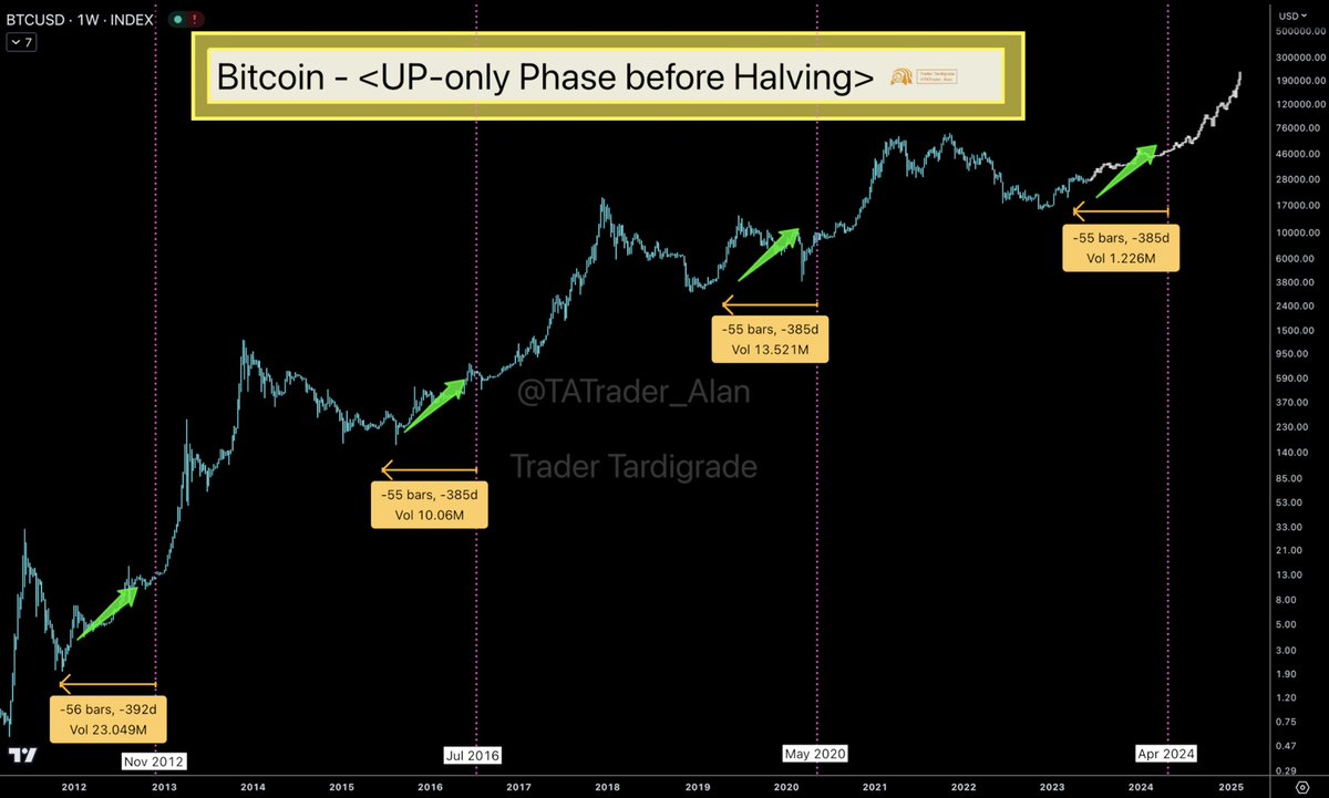 Bitcoin has entered the final phase before the next halving. This phase is  
