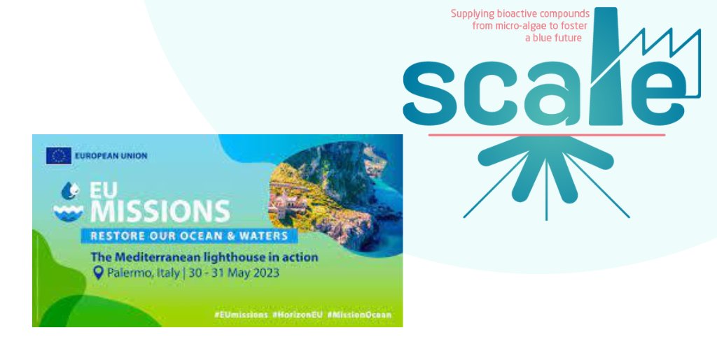 SCALE Project tweet media