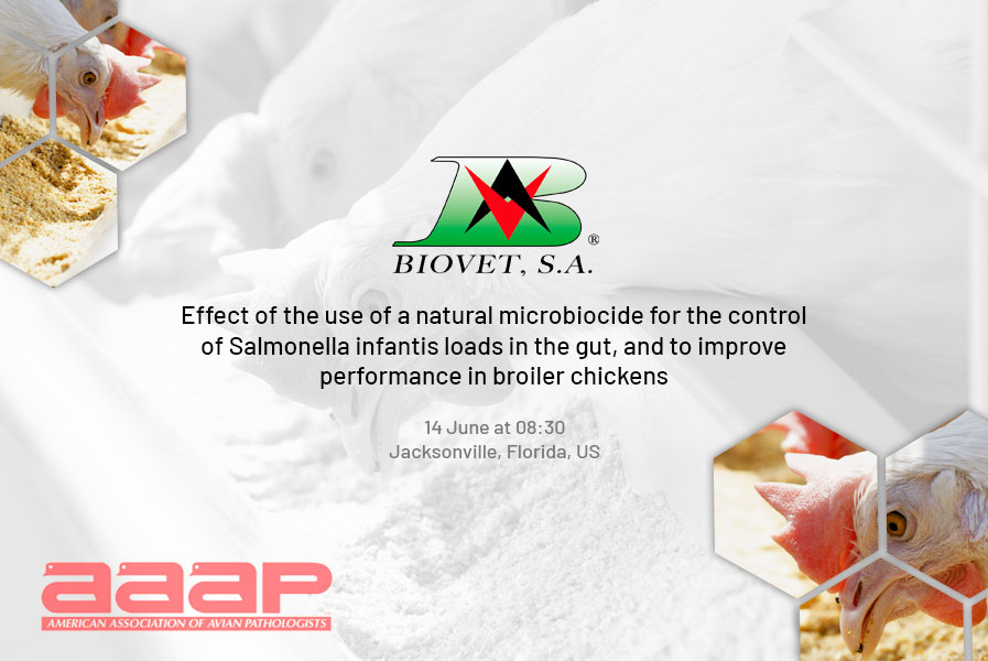 Biovet_'s tweet image. 𝗕𝗶𝗼𝘃𝗲𝘁 𝗮𝘁 𝗔𝗔𝗔𝗣 𝟮𝟬𝟮𝟯
Join our lecture at the Annual Meeting of the AAAP in Jacksonville, on the 14th of June at 08:30.
#conferences #poultry #naturaladditives