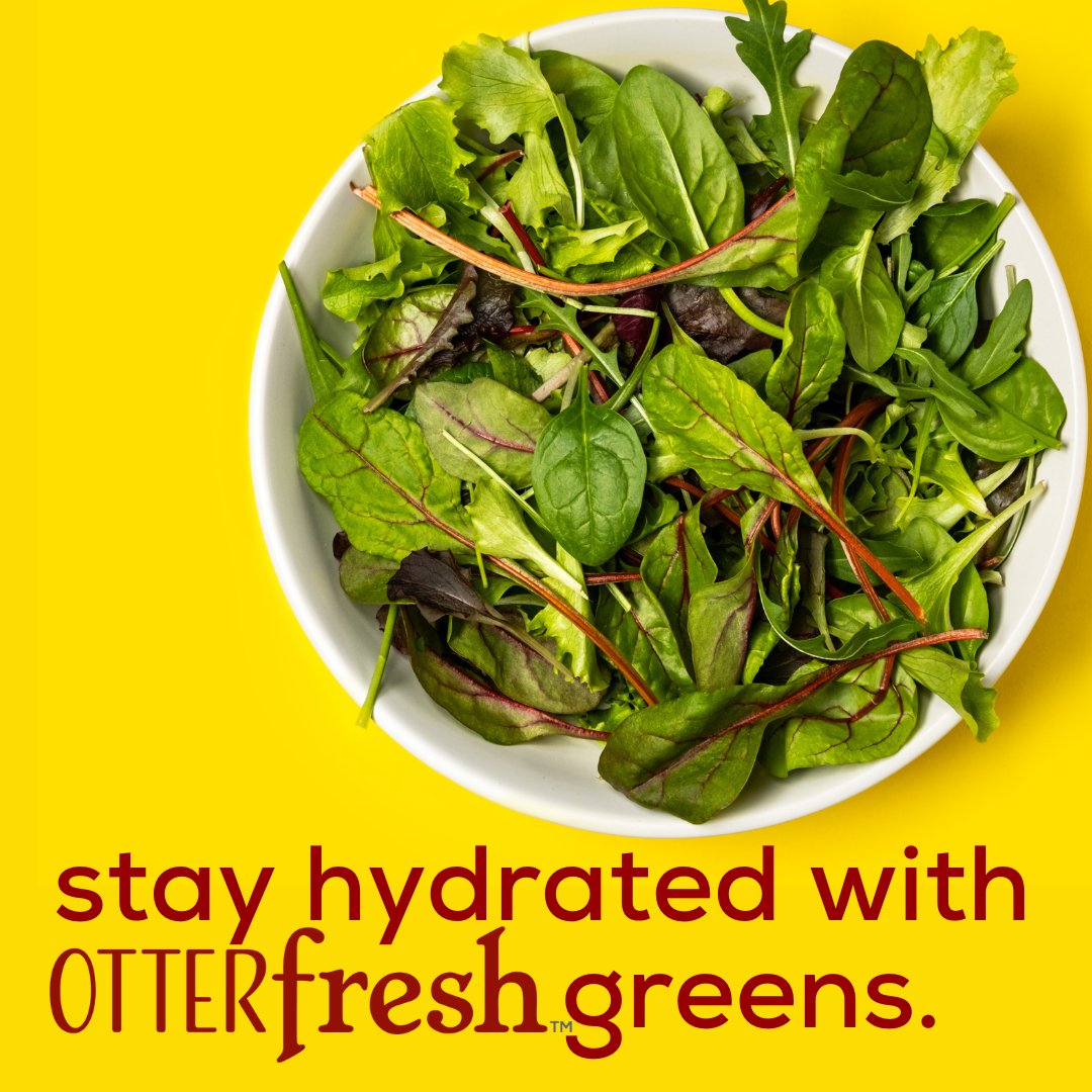 redotterfarms's tweet photo. #Supergreens | What's better than a fresh &amp; hydrating bowl of salad greens in this hot weather? 
#RedOtterFarms #OtterFresh #OhSoFresh #CleanFood #EatRight #SummerSalad #Summer #Nutrition #PlantBased https://t.co/uwn14n8VJw
