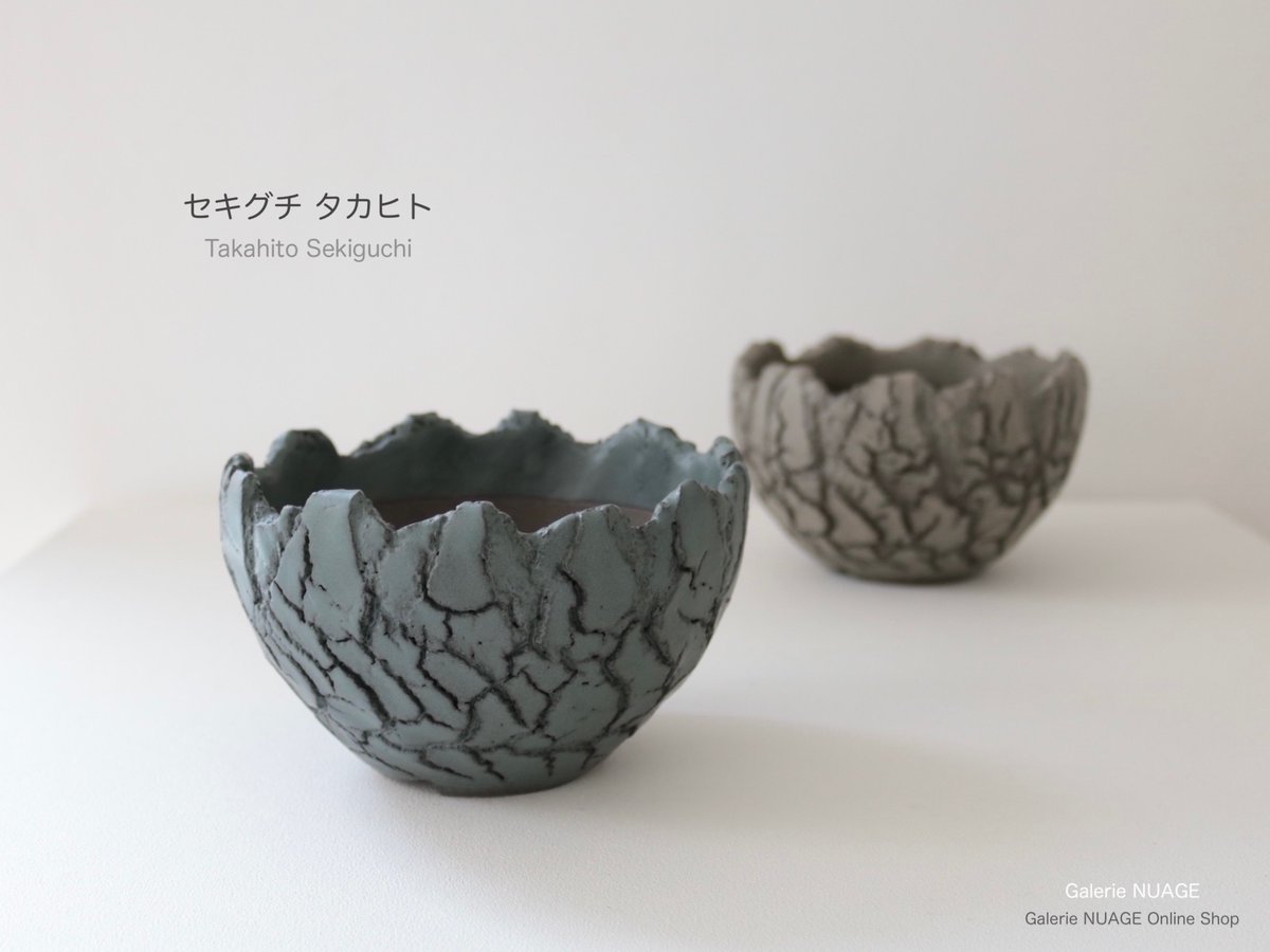 グラキリス 現地球 塊根植物 鶴仙園 関口貴仁 セキグチタカヒト 公式