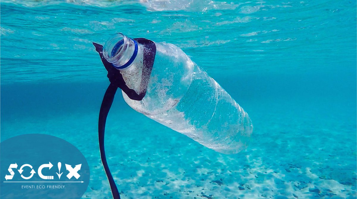 bicchierearende's tweet photo. Oggi è il #CoralTriangleDay e vogliamo spronarvi con questa foto a ridurre la plastica monouso perché nel mare ad oggi ne finiscono ancora grandi quantità. Anche noi, nel nostro piccolo, cerchiamo di ridurla portando nei grandi eventi bicchieri riutilizzabili e riciclabili ♻💚 https://t.co/o0M7v92JKs