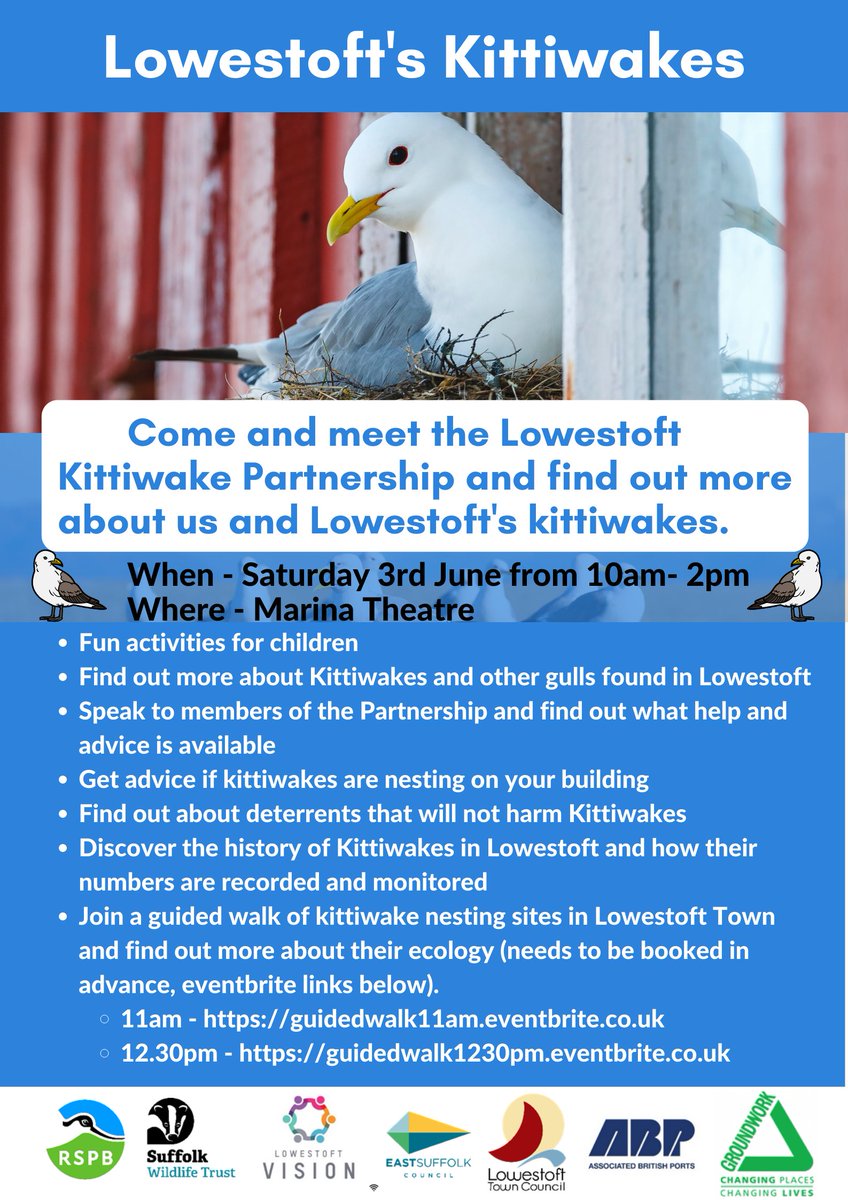 GroundworkEast's tweet photo. Want to learn more about these misunderstood birds?🐦
To join our guided walk of the Kittiwake nesting sights, use the links below:
11am - https://t.co/faMOEmXlVW
12:30pm - https://t.co/hqPEd8Dte5
#LowestoftKittiwakePartnership #Kittiwakes #GuidedWalk #ChildrenActivity #Birds https://t.co/4QJKbvcm2X