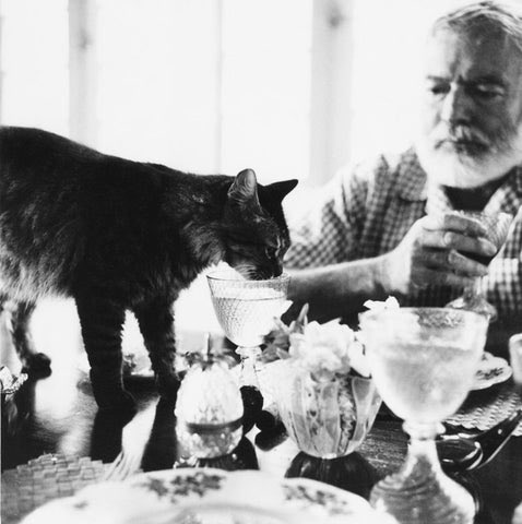 “One cat just leads to another”

As the story goes, after a night of revelry with an old sea captain, Ernest Hemingway was gifted a six-toed cat named Snow White, sparking his love for polydactyl cats.

His thriving clowder came to be known as the Hemingway Cats.

#WyrdWednesday