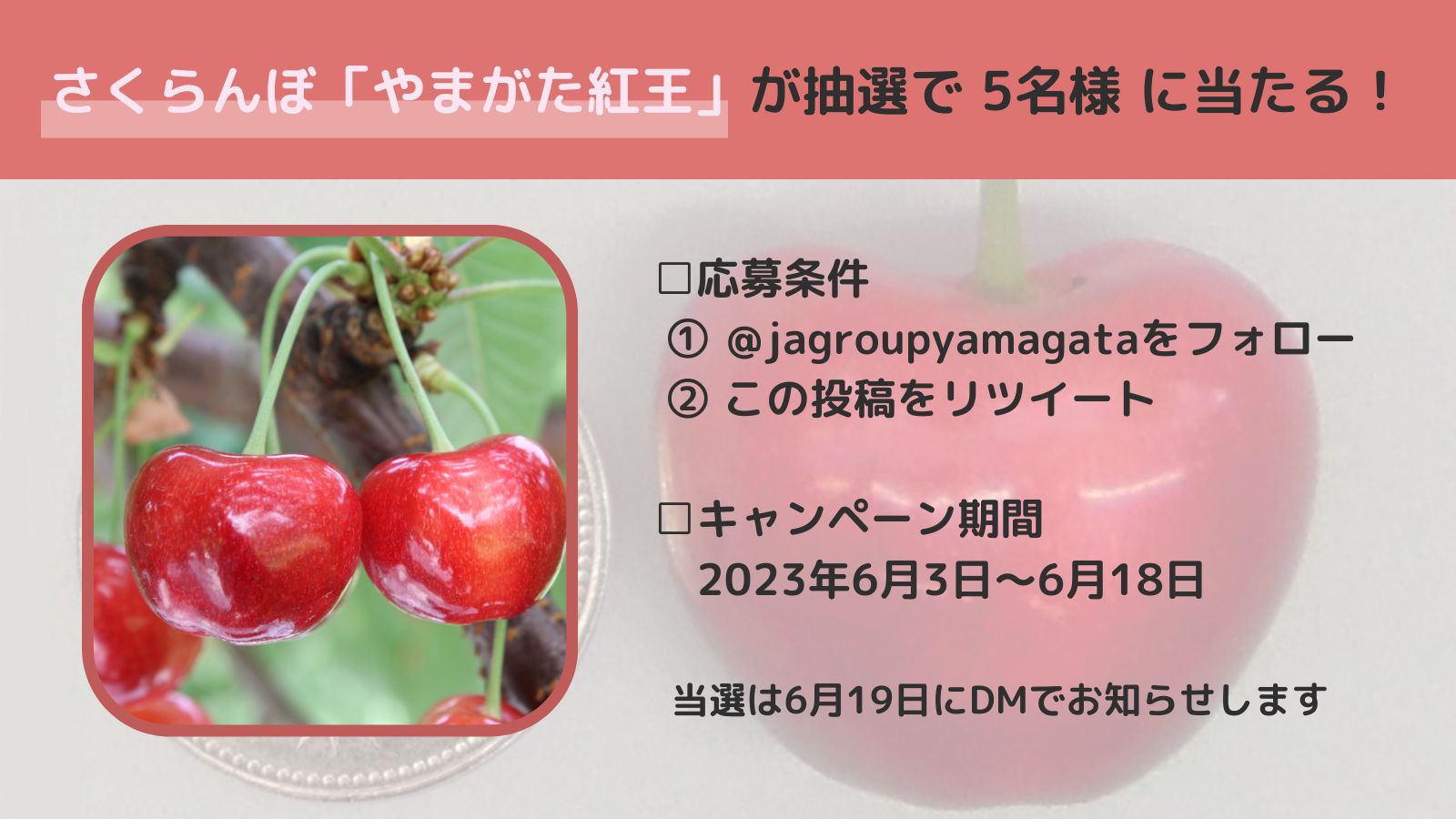 さくらんぼ様 何気なし