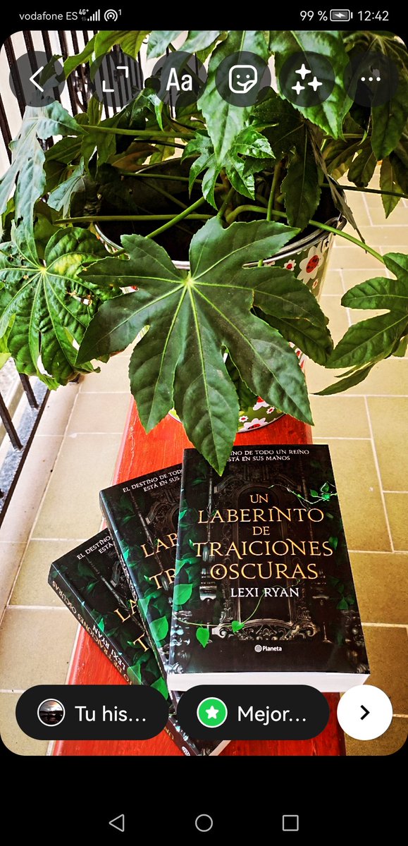 NormaEstrella's tweet photo. Ya a la venta y completa la bilogía de Lexi Ryan. Si la primera me gustó, esta me ha gustado aún más. 💚
#UnLaberintoDeTraicionesOscuras
#LexiRyan https://t.co/hGrR6c97hz