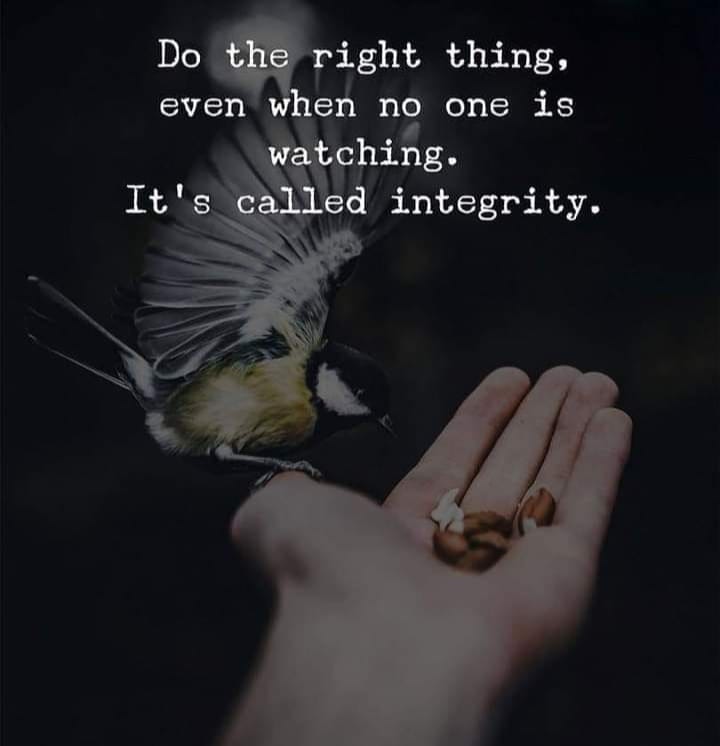 BestLife_Wisdom's tweet photo. https://t.co/Mi3boaKBRJ
