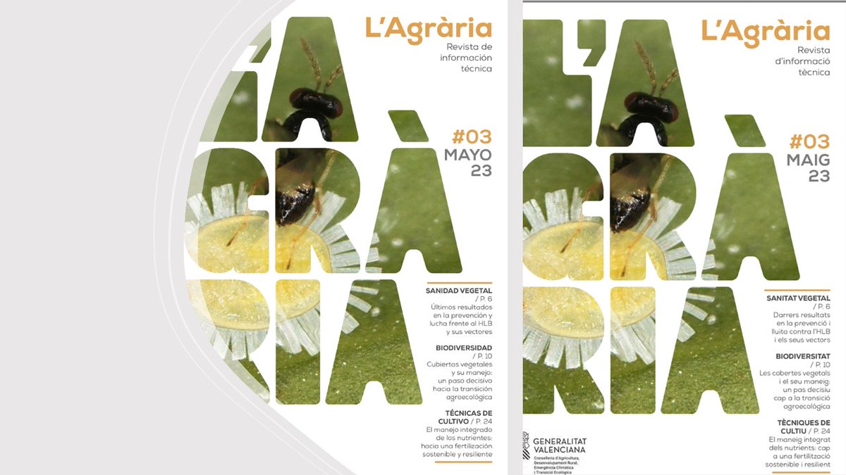 l_agraria's tweet photo. 📣📣L'Agrària 03 ja esta ací la 3ª edició!!!!
 Revista Digital d'Informació Tècnica,  6 ARTICLES, 1 REPORTATGE, 1 ENTREVISTA i més info:
🪳🍊🕷️🌳🌺🌻🌾🌷🚜🍇👩‍🌾🐷🐣💦🐄
en valencià : https://t.co/t2IWZiZIOV
en castellà: https://t.co/kNMHnCZx1y https://t.co/QswLZ5StUP