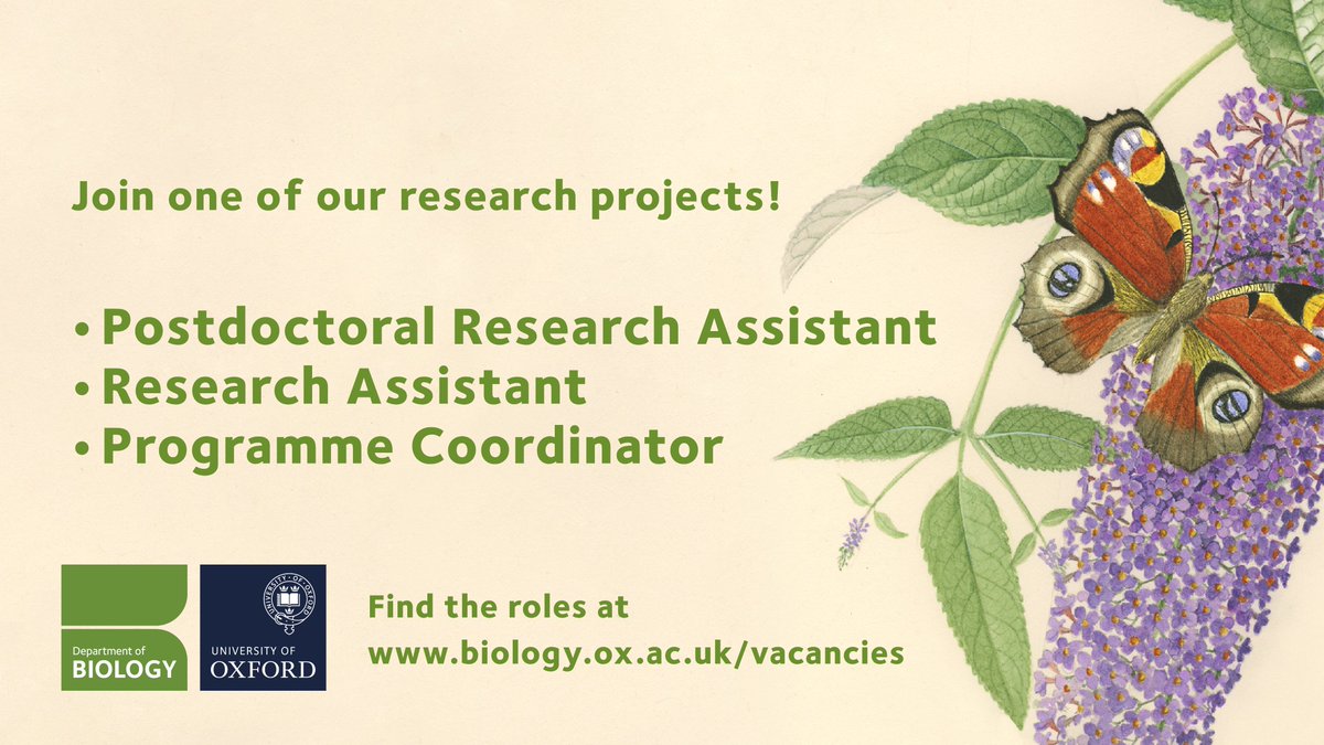 OxfordBiology's tweet photo. We're hiring! We currently have roles open with four(!) research groups:
🧠 innovaTEbehaviour
🌍 Operation Pangolin
🦠 @IneosOxford
 🌳 Biodiversity &amp; Society

See the roles 👇
https://t.co/0CUB5RBFmP https://t.co/pWVR3jAHYA