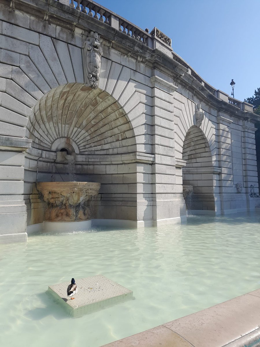 Mise en jambe avec la montée des 222 marches de la butte de Montmartre pour les supporters des représentants du <a href="/clgBouligny/">Collège de Bouligny</a> à la finale nationale du concours CGénial !💪🏼🤞🏼