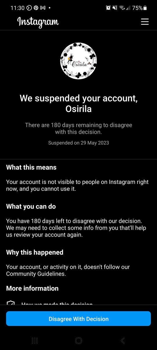 AlilouPrinzo's tweet photo. @instagram @serotinesart My account was suspended help me to recover https://t.co/MQSz4IOZ9q