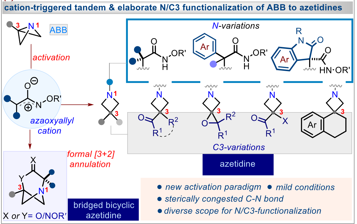 Unveiling the Power of Cation-Driven Activation in Chemical Reactions