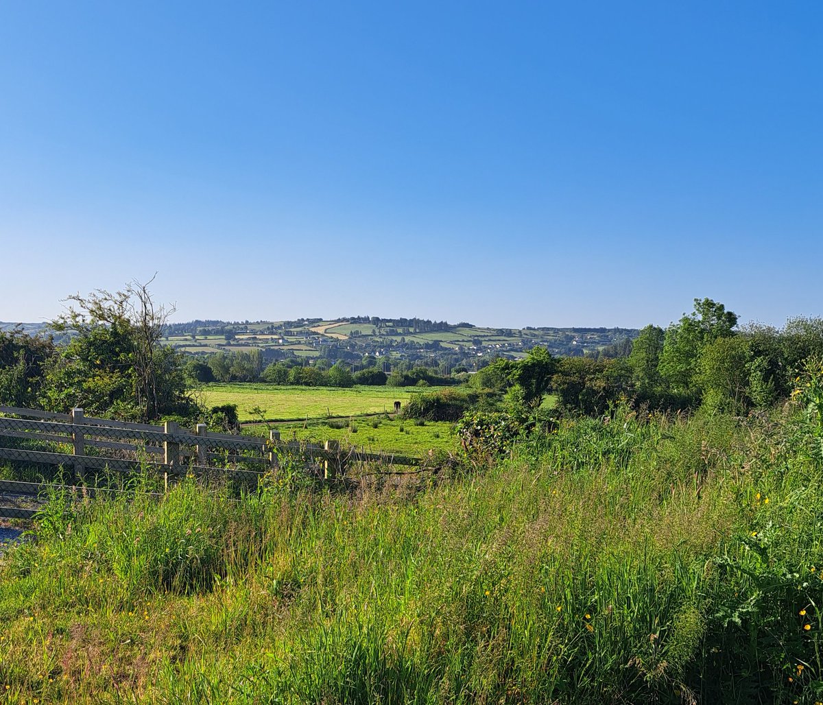 Con Keyes tweet media