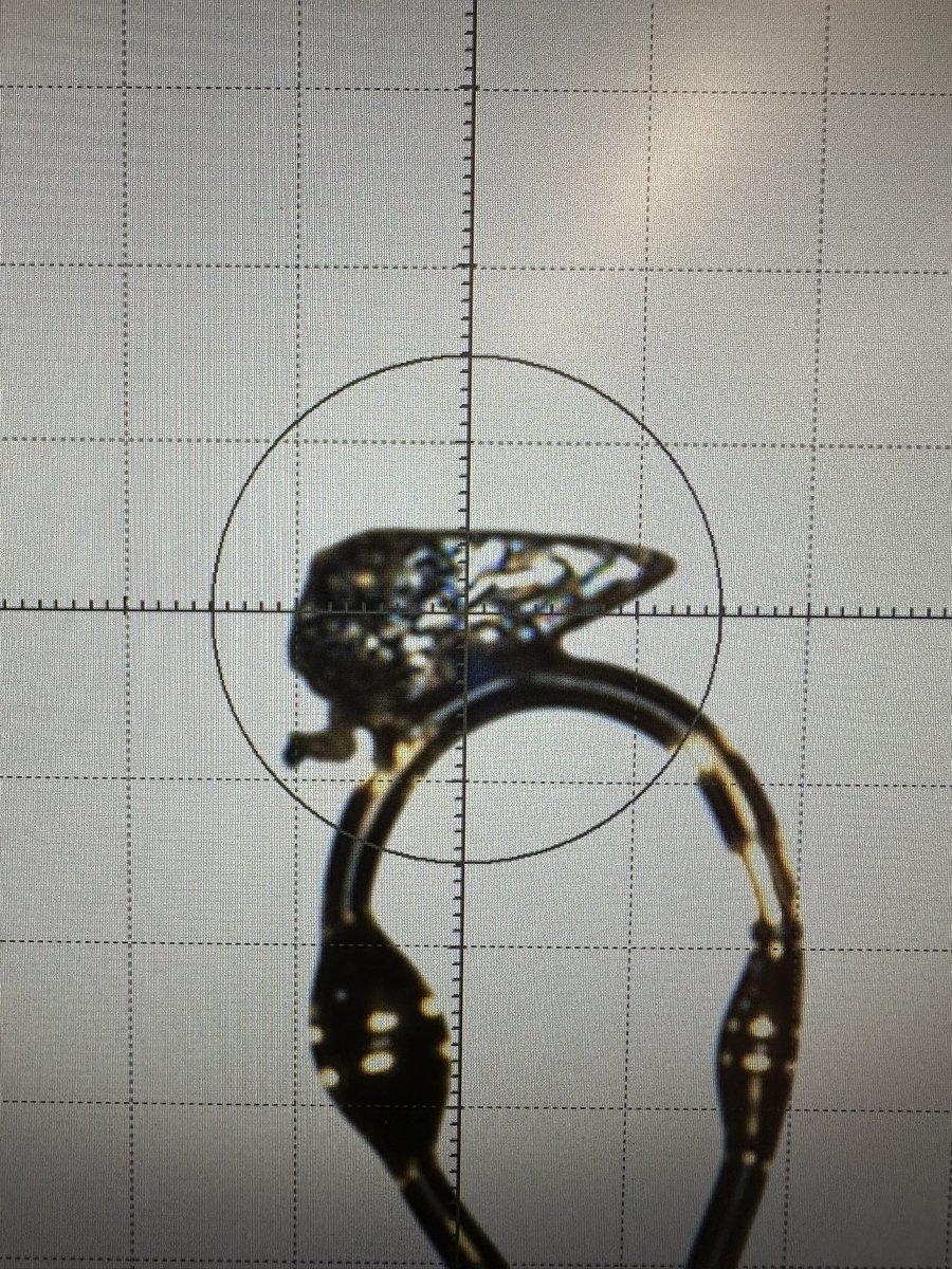 Yes, I will marry you 😍 😁 checking crystals with 
<a href="/MagdaGwozdz_/">Magdalena Gwóźdź</a> <a href="/AlasdairIMcKay/">Alasdair McKay</a> at <a href="/ChemistryMonash/">Monash Chemistry</a>