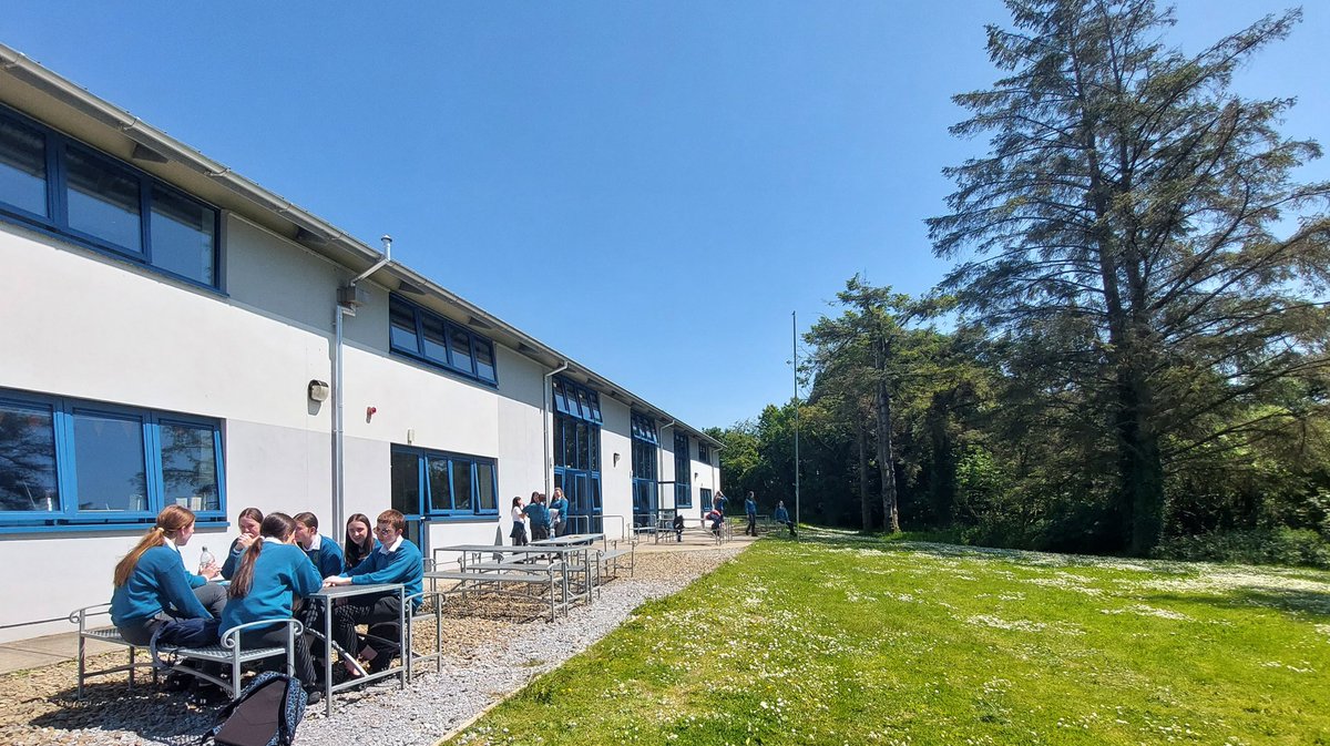 Mercy Mounthawk on Twitter "Summer in Mounthawk! Daisies, lunch