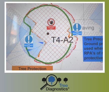 Treediagnostics's tweet image. This is an Arb Impact Assessment drawing. We use different line types for the different levels of tree protection fencing. 🌳 👀
barnesassociates.co.uk 

#treeanalysis #arborists #treeconsulting #treediagnostics