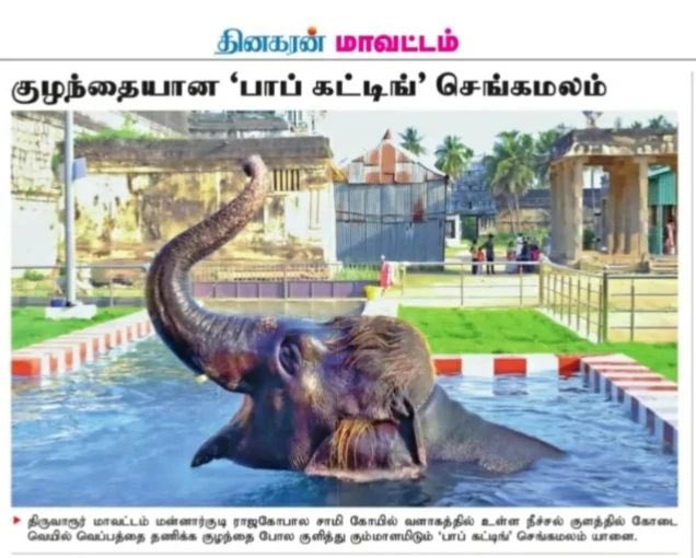 Mannargudi Updates tweet media
