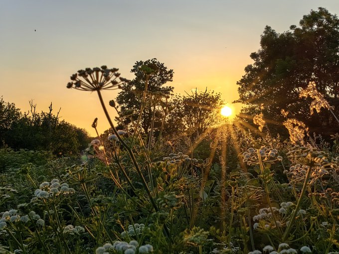 Nadezna #peoplewithpassion shares - Cosmeston Lakes, Vale of Glamorgan #welshpassion courtesy 
@MandhariNadezna