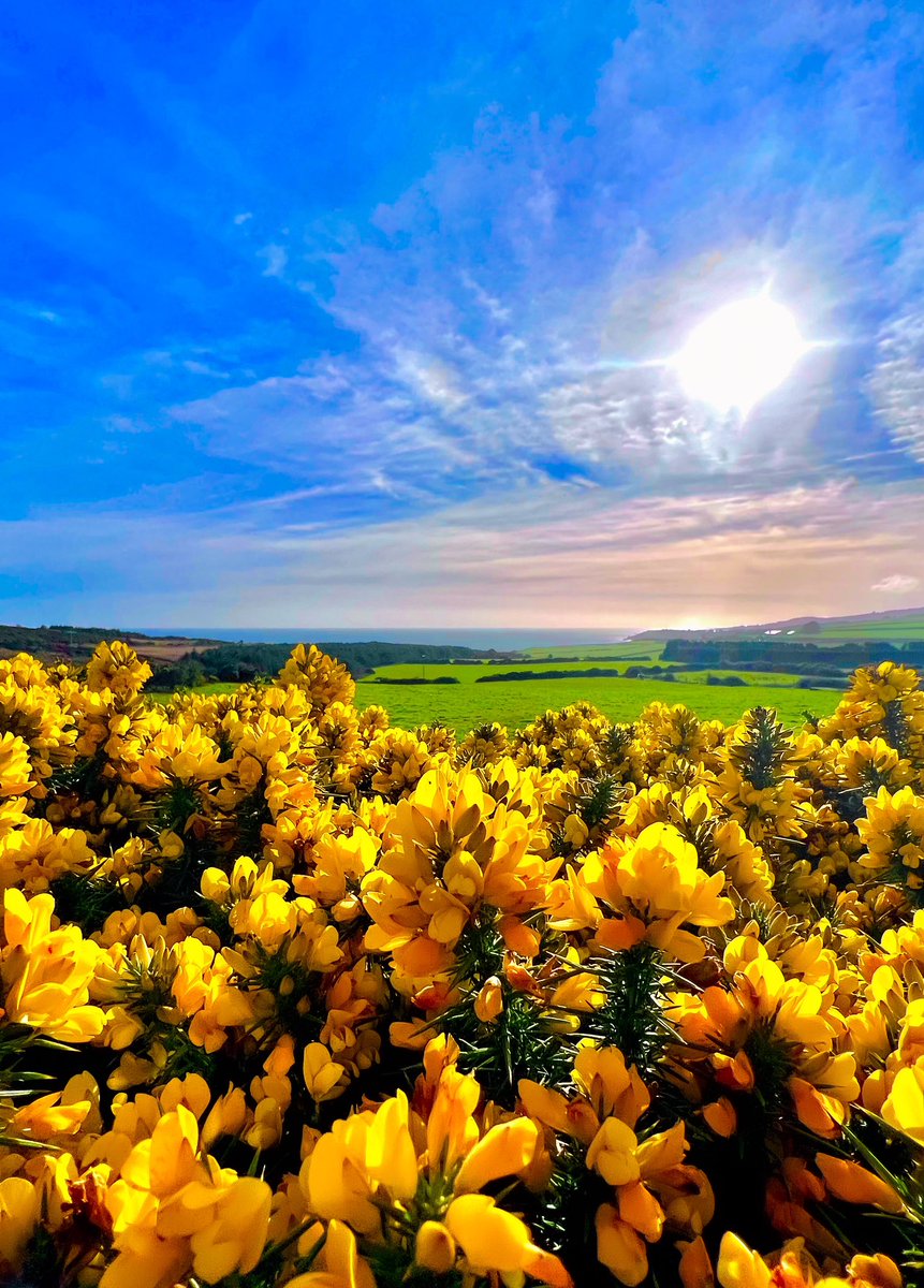 scorpwide's tweet photo. 🇮🇪 https://t.co/6rEkBp1sUA