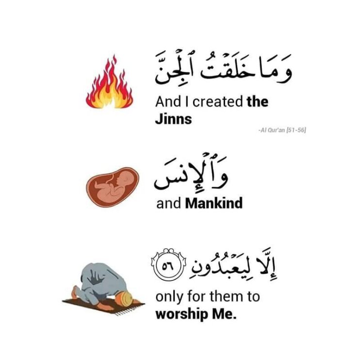 And I did not create the jinn and mankind except to worship Me.

[Al Qur'an 51:56]