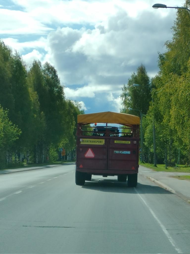 ElinaHelppi's tweet photo. Petteri Punakuono kesälomalle 🤔
#petteripunakuono #kesäloma #näinsekesälomatoimii #lapland #harvinaisenasiallinenporokuljetus #kittilä #laplandfinland #holiday https://t.co/mY2VBT6mdM
