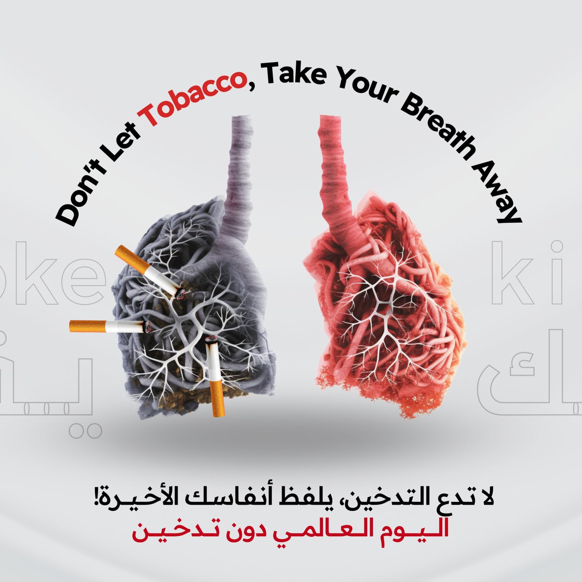 _SmartHealthTec's tweet photo. 🌍 Today is #WorldNoTobaccoDay, a global initiative to raise awareness about the dangers of smoking and encourage a tobacco-free world. Let's join hands to support individuals in their journey to quit smoking, protect our health, and create a cleaner, healthier planet. 💪💚 https://t.co/lJPACuIZsu