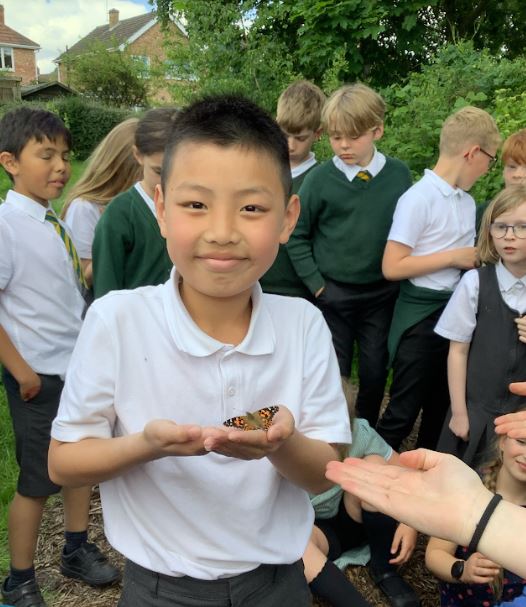 bisphamjy5's tweet photo. An abundance of awe and wonder in year 5! Over the last half term, we have watched the tiny caterpillars transform into beautiful butterflies #science #nature #ks2 https://t.co/9SMH9g6Qdm