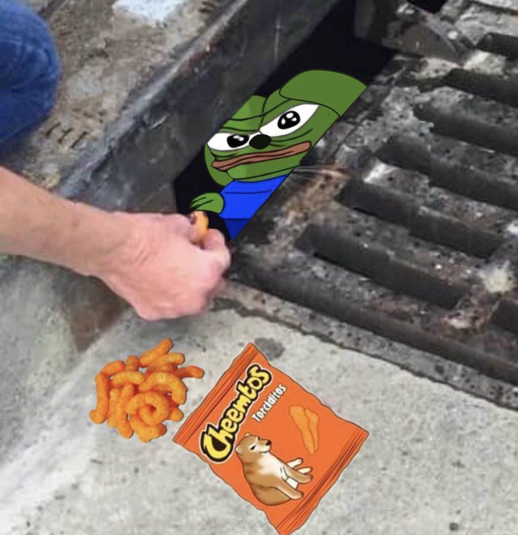 Pepe Inu tweet media