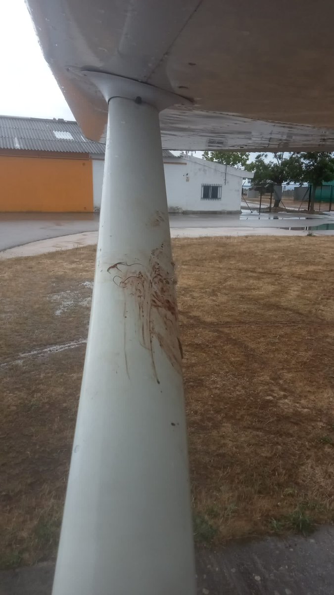 controladores's tweet photo. Recibido por WhatsApp. Impacto con ave en vuelo por la zona de Guadalajara. Una lástima 😢 por el pobre animal y una situación que podría haberse complicado enormemente 😨 para el tráfico ligero C172. #Birdstrike https://t.co/7nf6AJhV5W