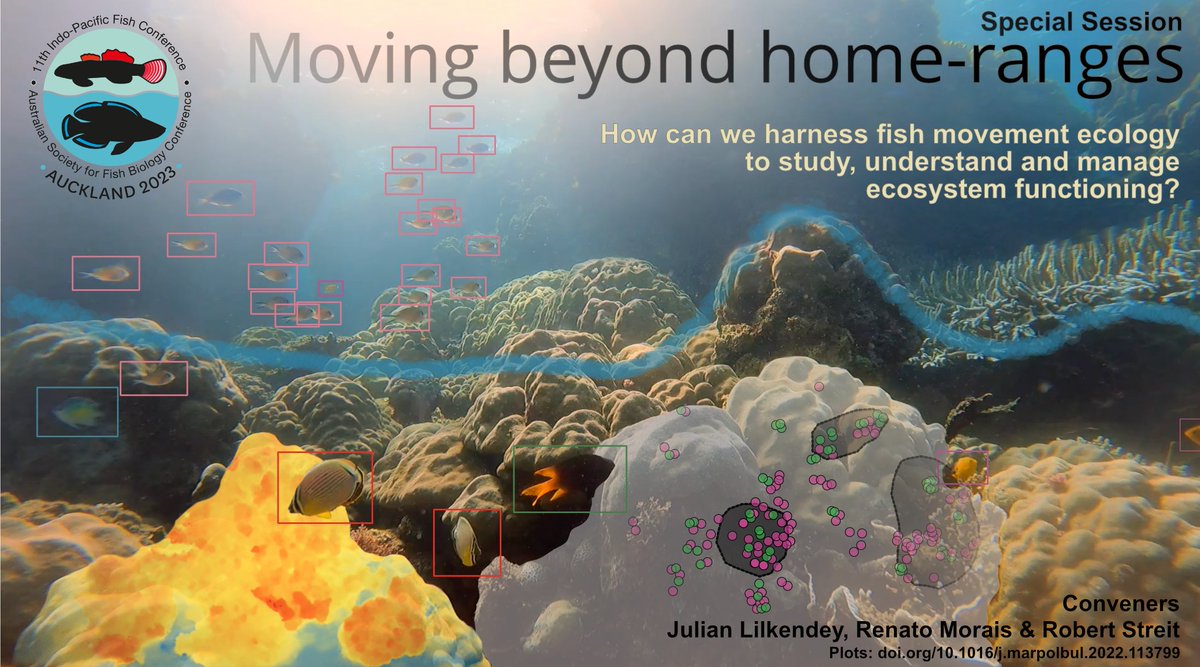 Knochenfisch1's tweet image. ⏱️ Only a few days left! Submit your abstract for @ipfc2023 by June 11. 🌊

Join our session and explore the role of #fish movements in #EcosystemFunctioning &amp;amp; #Conservation. 🐠

Select special session 1 during the submission process!🌏

Submit here: t1p.de/jtau4