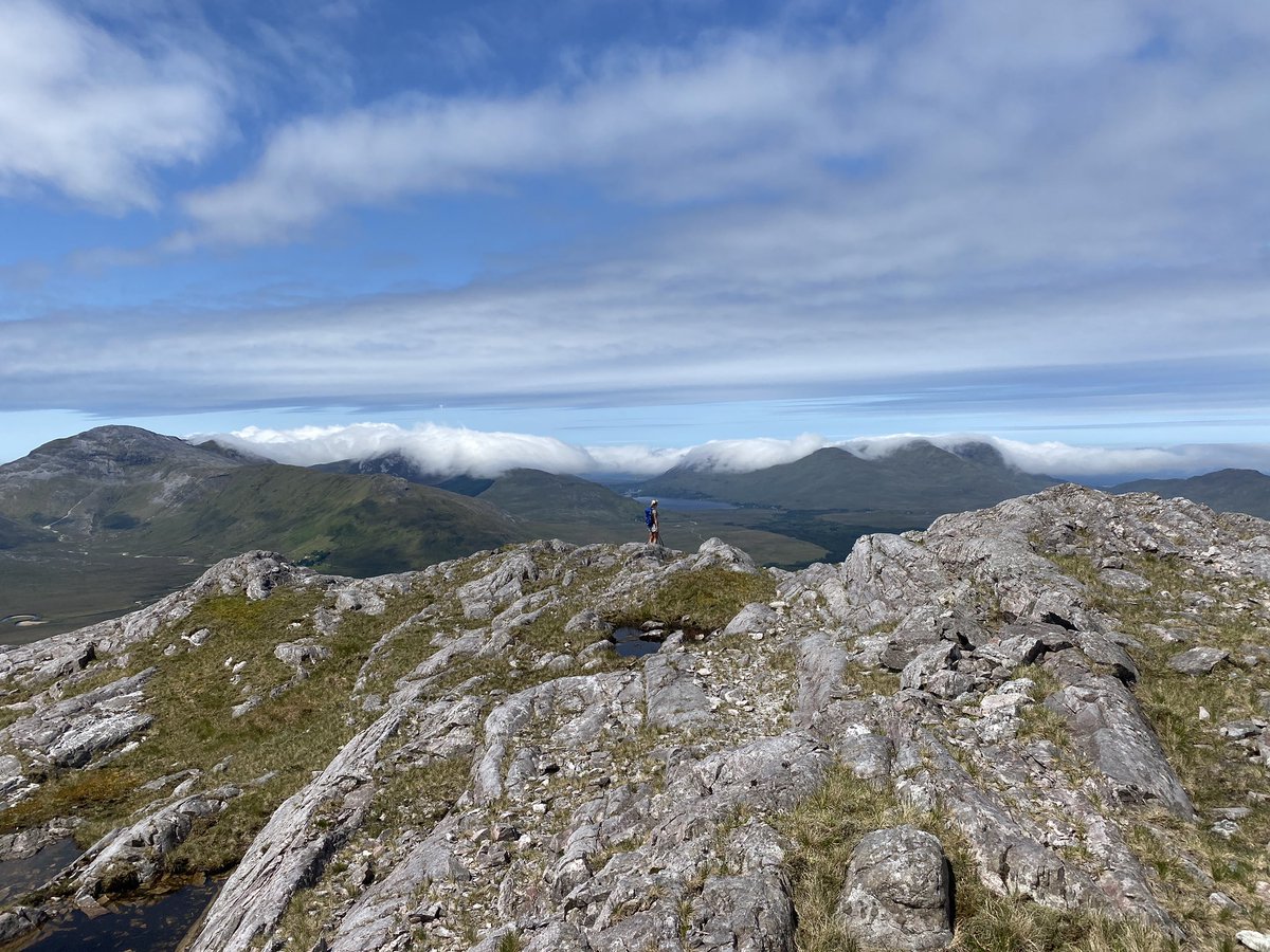 Gerard Sheehy tweet media